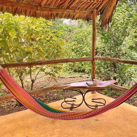 Encantadora Villa Maya Tradicional En Rancho Agroecologico Tzucaceb 外观 照片