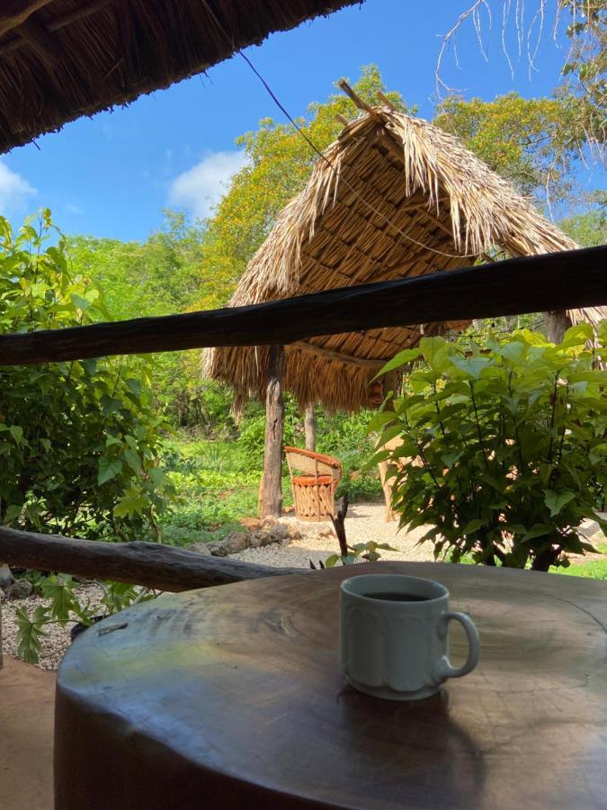 Encantadora Villa Maya Tradicional En Rancho Agroecologico Tzucaceb 外观 照片