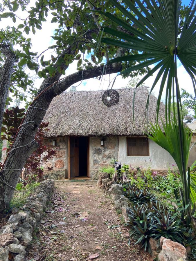 Encantadora Villa Maya Tradicional En Rancho Agroecologico Tzucaceb 外观 照片