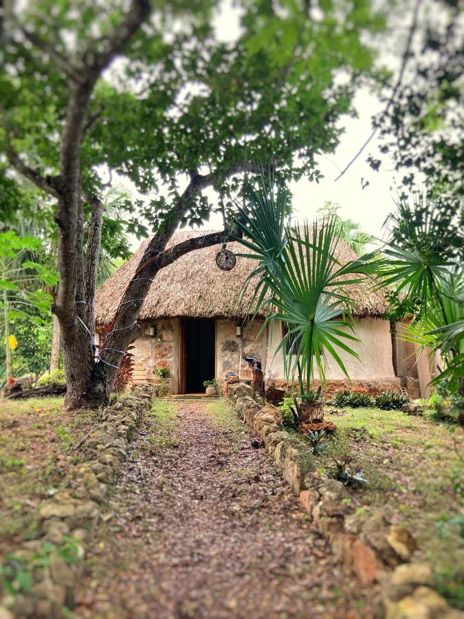 Encantadora Villa Maya Tradicional En Rancho Agroecologico Tzucaceb 外观 照片