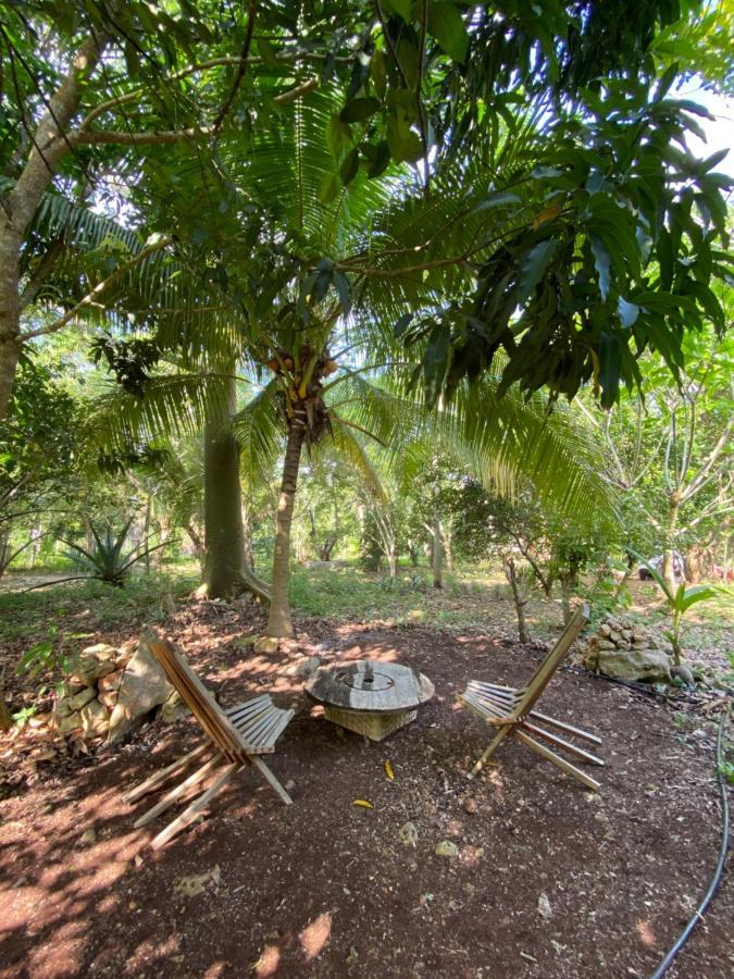 Encantadora Villa Maya Tradicional En Rancho Agroecologico Tzucaceb 外观 照片