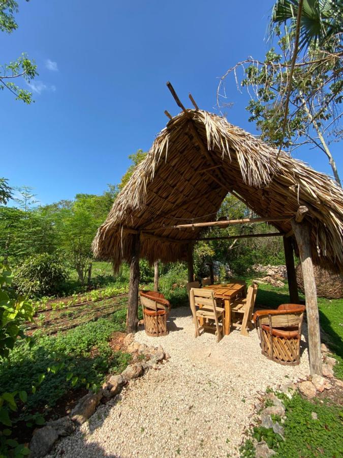 Encantadora Villa Maya Tradicional En Rancho Agroecologico Tzucaceb 外观 照片