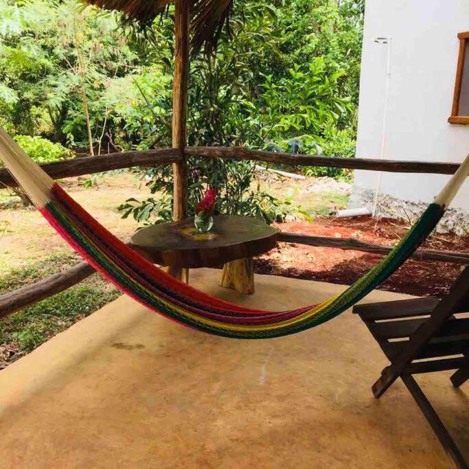 Encantadora Villa Maya Tradicional En Rancho Agroecologico Tzucaceb 外观 照片