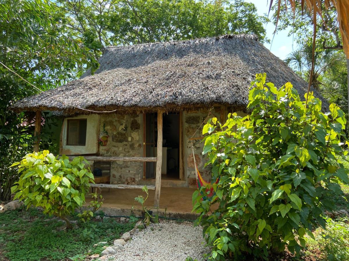 Encantadora Villa Maya Tradicional En Rancho Agroecologico Tzucaceb 外观 照片