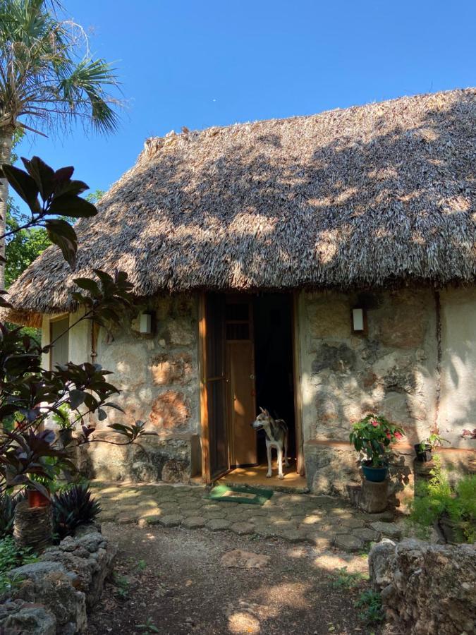 Encantadora Villa Maya Tradicional En Rancho Agroecologico Tzucaceb 外观 照片