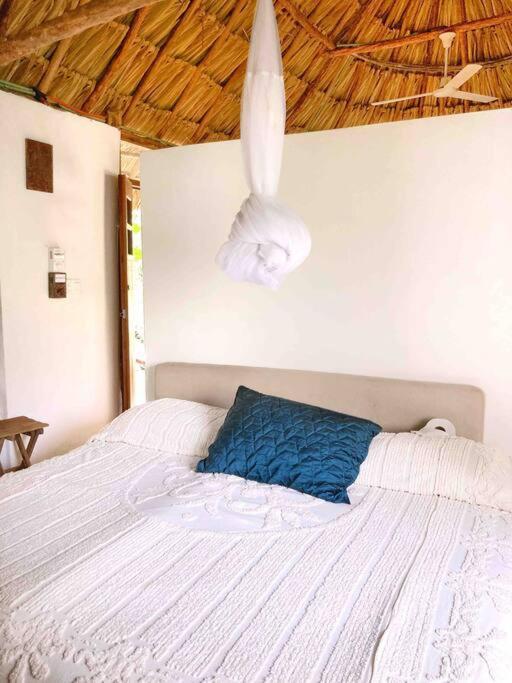 Encantadora Villa Maya Tradicional En Rancho Agroecologico Tzucaceb 外观 照片