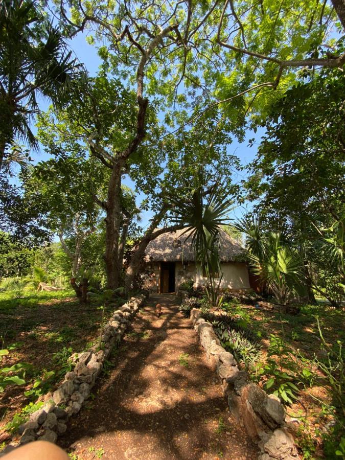 Encantadora Villa Maya Tradicional En Rancho Agroecologico Tzucaceb 外观 照片
