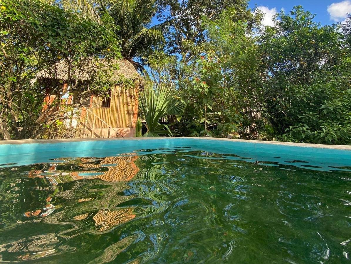 Encantadora Villa Maya Tradicional En Rancho Agroecologico Tzucaceb 外观 照片