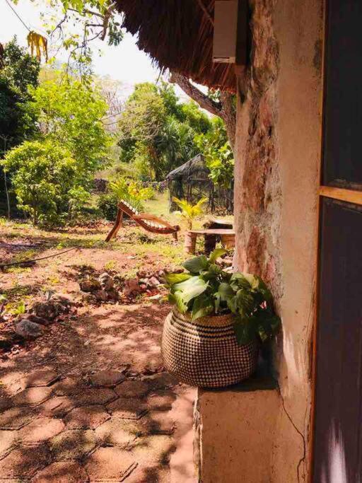 Encantadora Villa Maya Tradicional En Rancho Agroecologico Tzucaceb 外观 照片