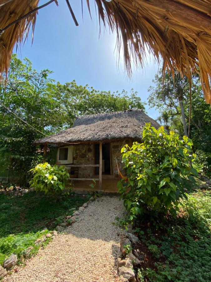 Encantadora Villa Maya Tradicional En Rancho Agroecologico Tzucaceb 外观 照片