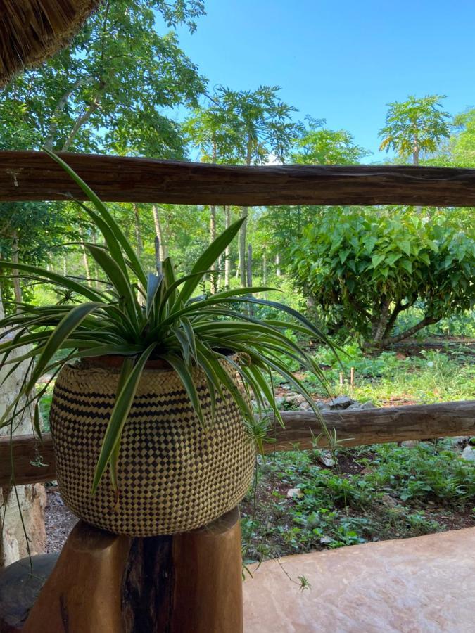 Encantadora Villa Maya Tradicional En Rancho Agroecologico Tzucaceb 外观 照片