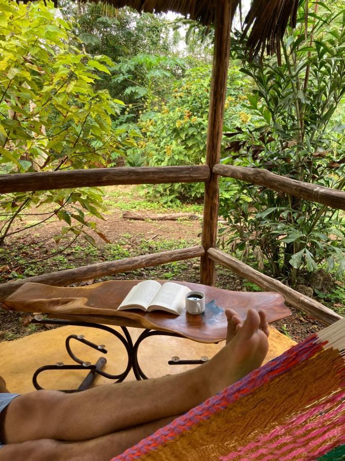 Encantadora Villa Maya Tradicional En Rancho Agroecologico Tzucaceb 外观 照片