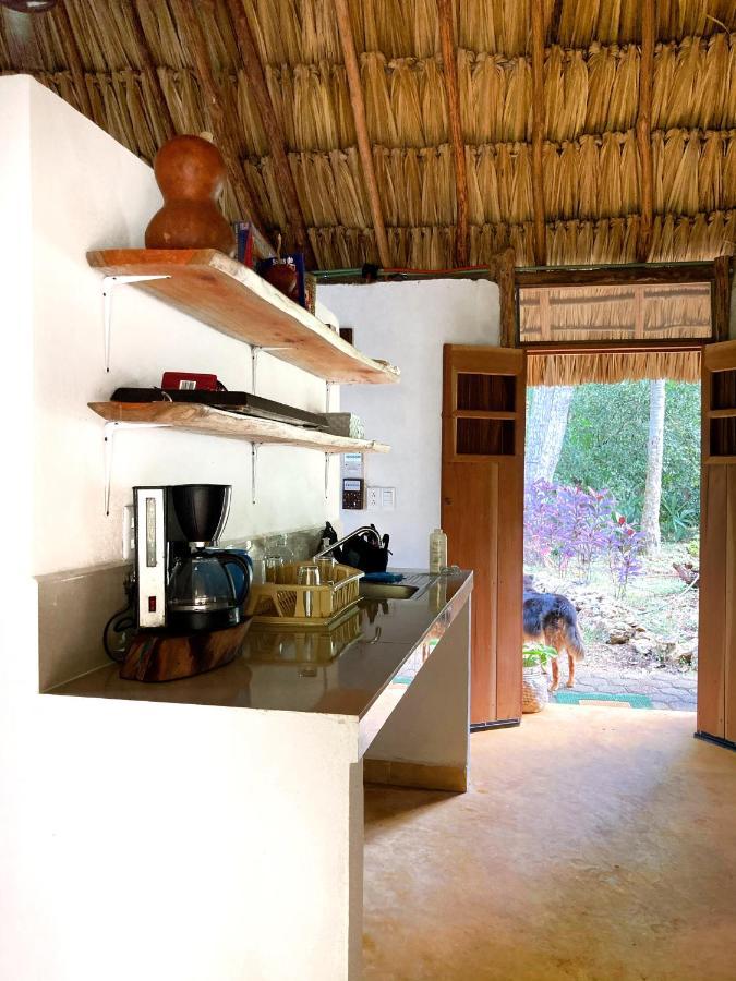 Encantadora Villa Maya Tradicional En Rancho Agroecologico Tzucaceb 外观 照片