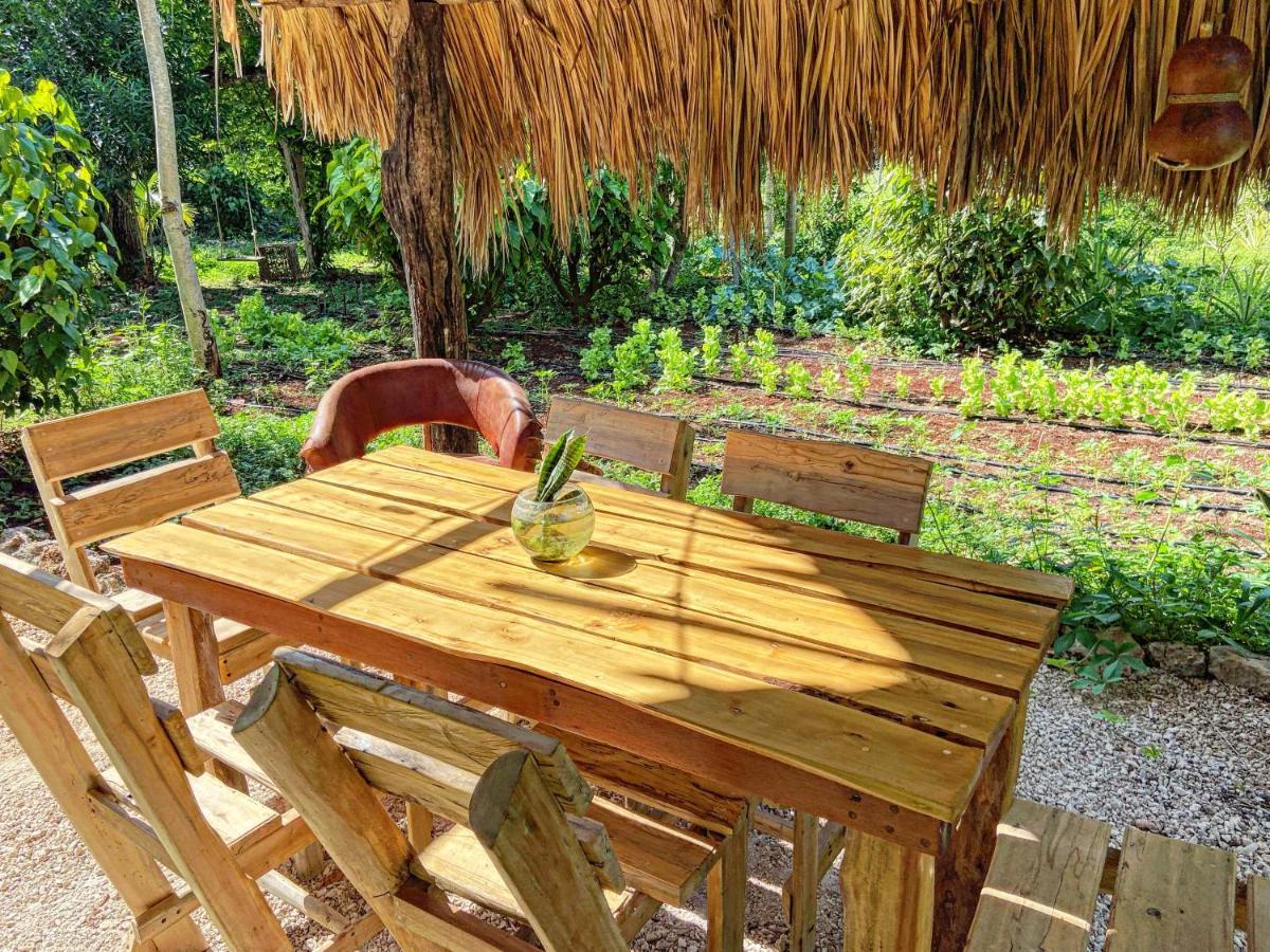 Encantadora Villa Maya Tradicional En Rancho Agroecologico Tzucaceb 外观 照片