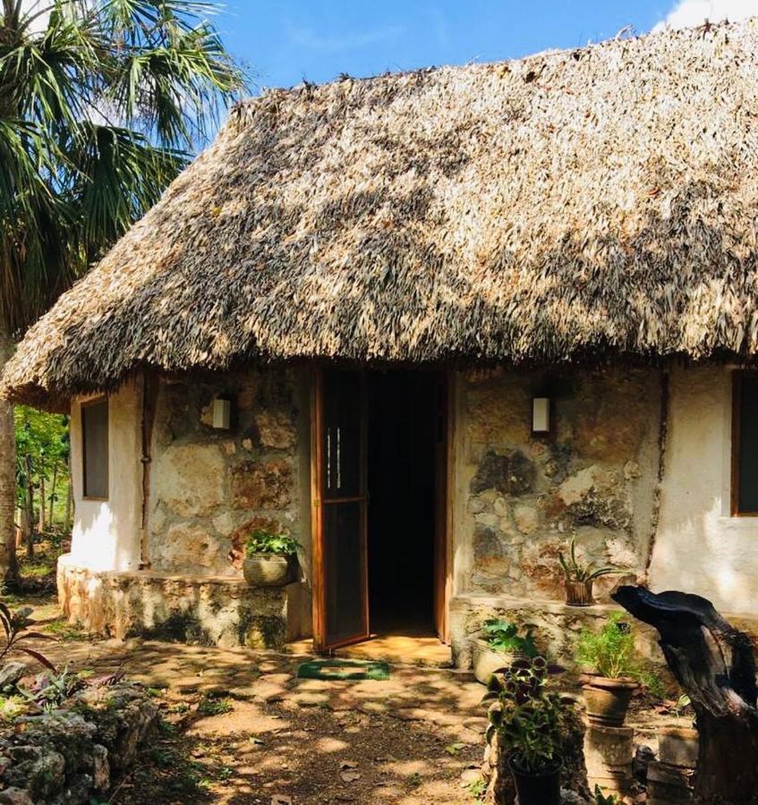 Encantadora Villa Maya Tradicional En Rancho Agroecologico Tzucaceb 外观 照片