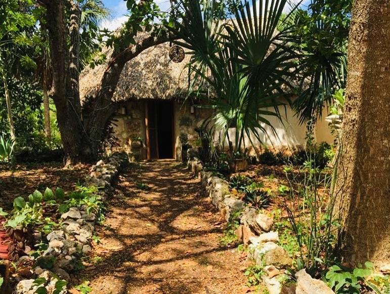 Encantadora Villa Maya Tradicional En Rancho Agroecologico Tzucaceb 外观 照片