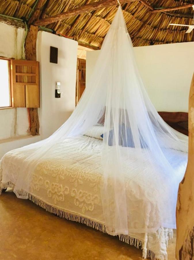 Encantadora Villa Maya Tradicional En Rancho Agroecologico Tzucaceb 外观 照片