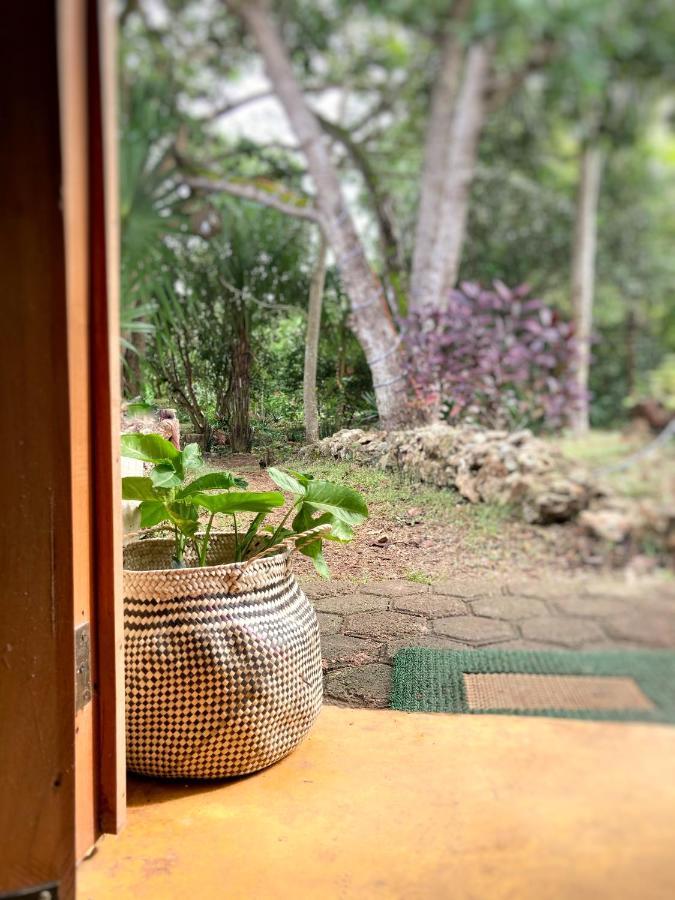 Encantadora Villa Maya Tradicional En Rancho Agroecologico Tzucaceb 外观 照片