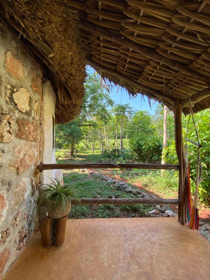 Encantadora Villa Maya Tradicional En Rancho Agroecologico Tzucaceb 外观 照片