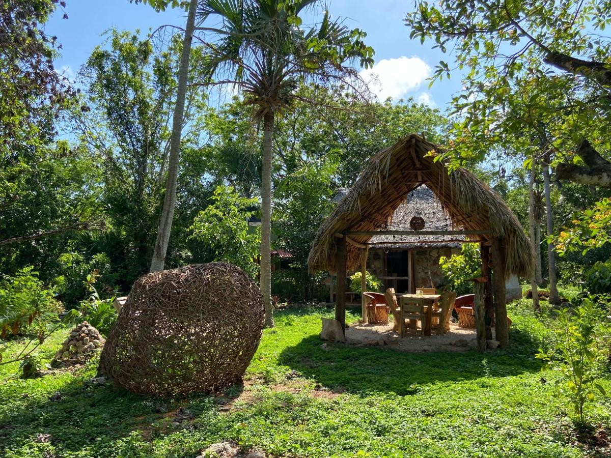 Encantadora Villa Maya Tradicional En Rancho Agroecologico Tzucaceb 外观 照片