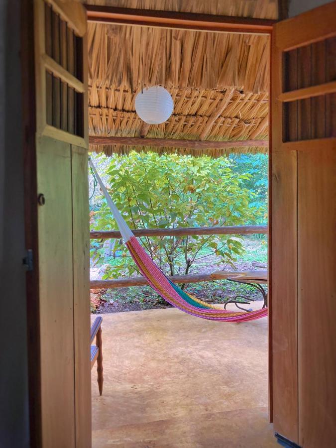 Encantadora Villa Maya Tradicional En Rancho Agroecologico Tzucaceb 外观 照片